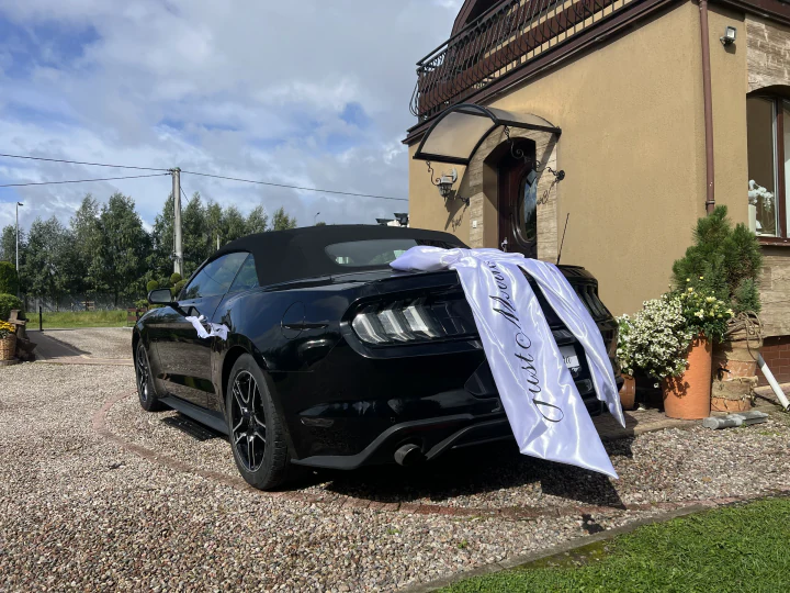 Mustang do ślubu z dużą białą kokardą, widok od tyłu