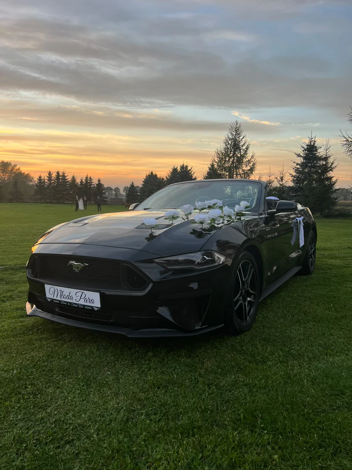 Czarny Mustang Cabrio z białymi kwiatami na masce na tle zachodzącego słońca