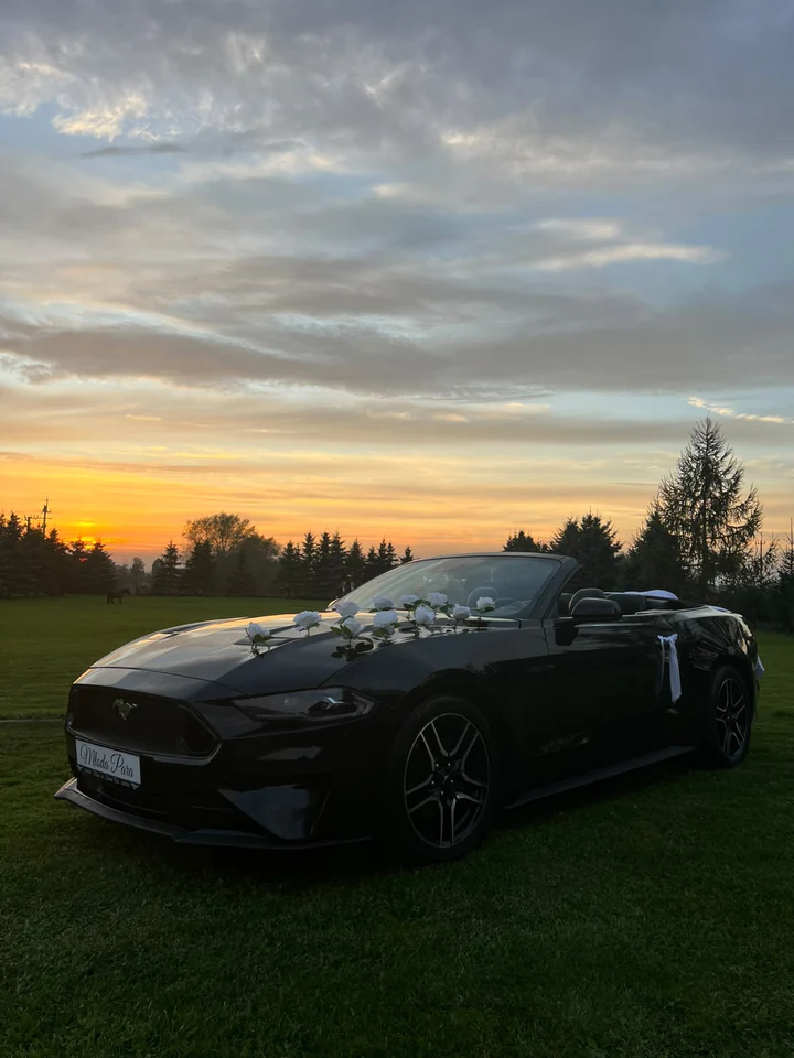 Ślubny Mustang Cabrio na trawniku w ciepłym świetle zachodu słońca